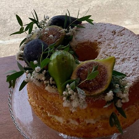 Bed and Breakfast La Collina Santa Maria Del Cedro Exterior foto
