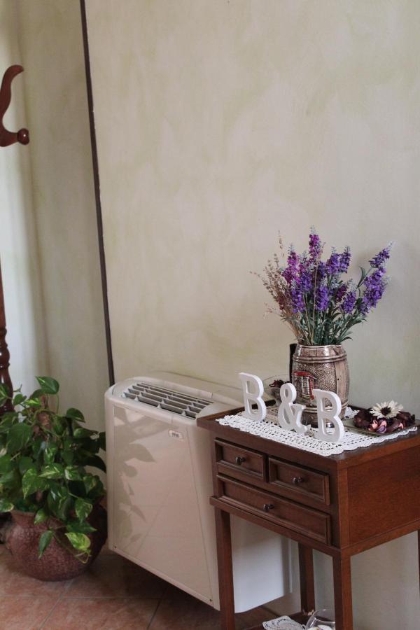 Bed and Breakfast La Collina Santa Maria Del Cedro Exterior foto